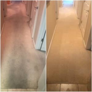 Nice clean hallway