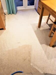 Getting my carpets cleaned in time for Christmas