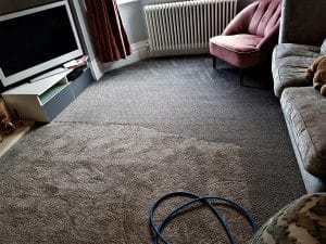 Carpet cleaning Warrington using the power of steam e1641478900144