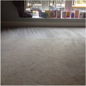 carpet cleaning in lymm