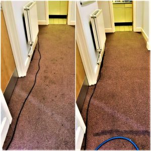 CARPET CLEANING IN WESTBROOK Warrington Cheshire e1641478861975