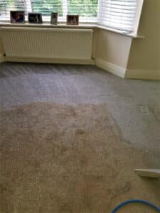 Steam carpet cleaning in Warrington