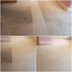 Carpet cleaning in Warrington Cheshire e1641478798737