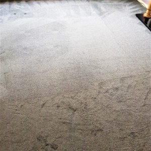 Carpet cleaning in Woolston Warrington Cheshire e1641478765837