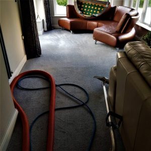 Deodorising a lounge carpet using the power of steam extraction e1641478727460
