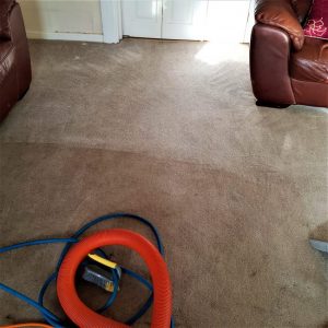 Professional carpet cleaners in Warrington e1641478785426
