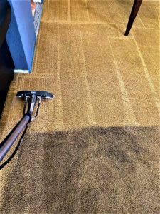 Warrington carpet cleaning