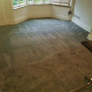 steam cleaning a living room carpet in Lymm e1641478748439