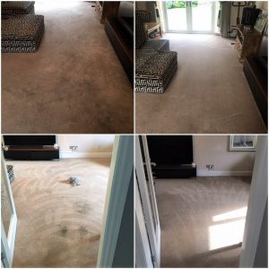 Carpet cleaner warrington Cheshire