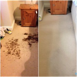 Advanced stain removal cleaning