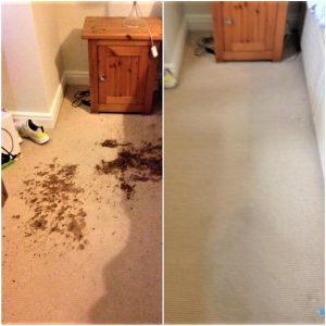 Advanced stain removal cleaning