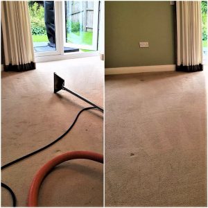newton le willows carpet cleaning service