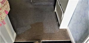Carpet cleaning in Wigan