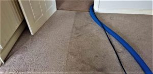 Carpet cleaning services in Warrington