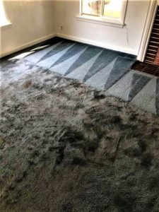 Warrington Carpet Cleaning