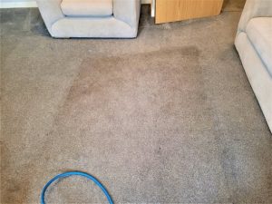 Carpet cleaning service in Latchford