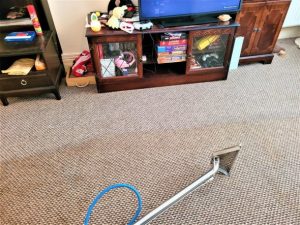 Carpet cleaning service in Stockton Heath Warrington