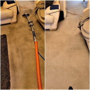 Carpet cleaning service great sankey Warrington