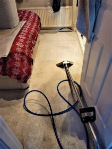 carpet cleaners newton le willows