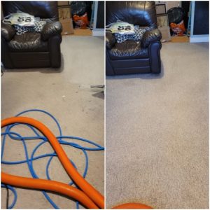 Carpet cleaning service in Lymm Cheshire e1641478579492