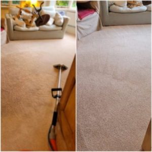 Altrincham carpet cleaner e1737116782513