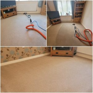 Professional carpet cleaning service in Newton Le Willows
