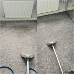 carpet cleaners in Runcorn
