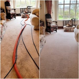 carpet cleaners in altrincham e1737116620722
