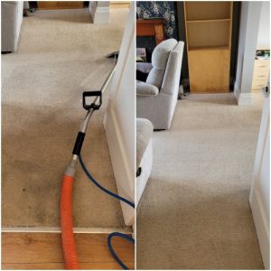 carpet cleaning in bruche Warrington