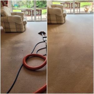 Carpet cleaning warrington Cheshire