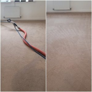 carpet cleaning in Walton Warrington