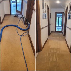 Appleton carpet cleaning service in cheshire 1