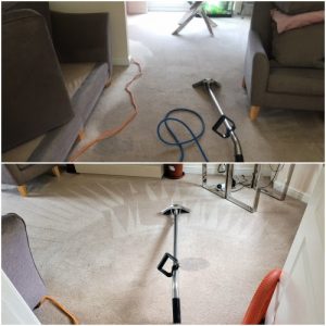 carpet cleaning service Runcorn