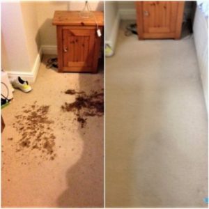 Advanced stain removal cleaning 1
