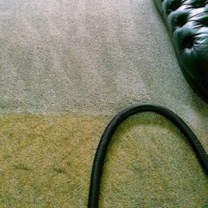 Carpet cleaners in Warrington