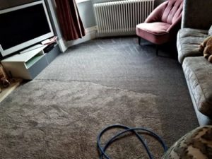 Carpet cleaning Warrington using the power of steam