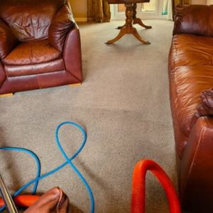 Light coloured carpets