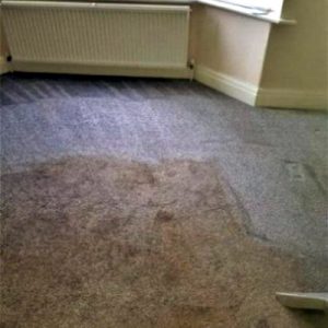 Steam carpet cleaning in Warrington