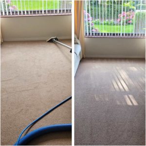 Steam cleaning carpets in Warrington Cheshire 1