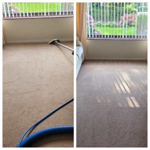 Steam cleaning carpets in Warrington Cheshire e1718346684754