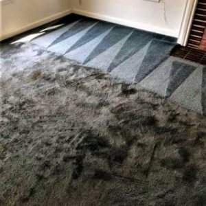 Warrington Carpet Cleaning