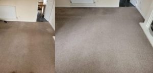 Carpet Cleaning in Warrington scaled e1666075536780