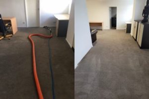 Carpet cleaners Knutsford e1666075523178
