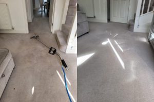 Carpet cleaning service newton le willows scaled e1666075475480