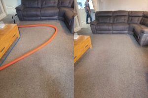 carpet cleaning newton le willows scaled e1666075460749