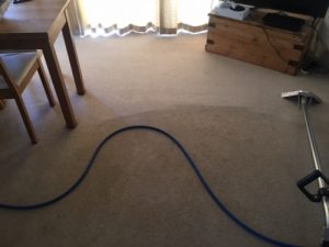 Carpet Cleaning Service in Knutsford Cheshire e1670395180273
