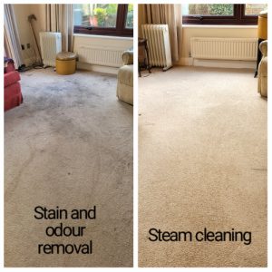 Steam Carpet Cleaning e1670395203126