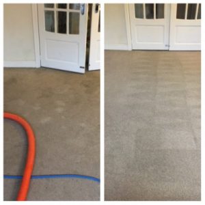 warrington carpet cleaning service e1671600691952