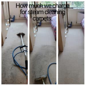 What is the cost for professional carpet cleaning in Warrington e1679036790233