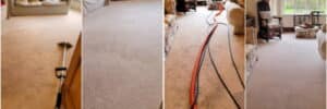 clean our carpets desktop e1679036729463